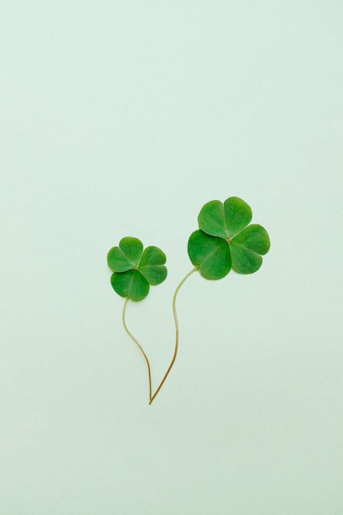 Clover on Green Surface