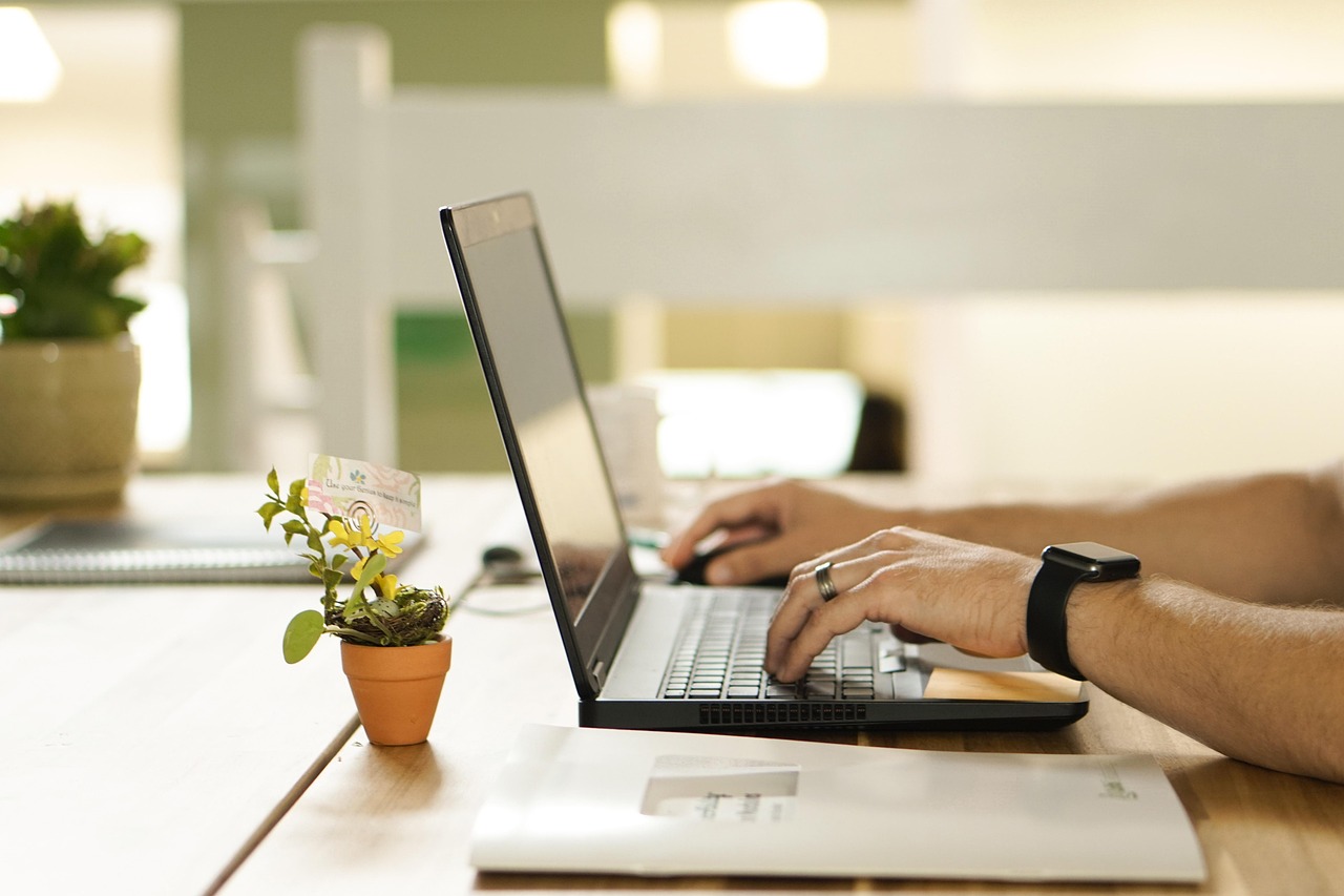 online, connection, nature-4208112.jpg